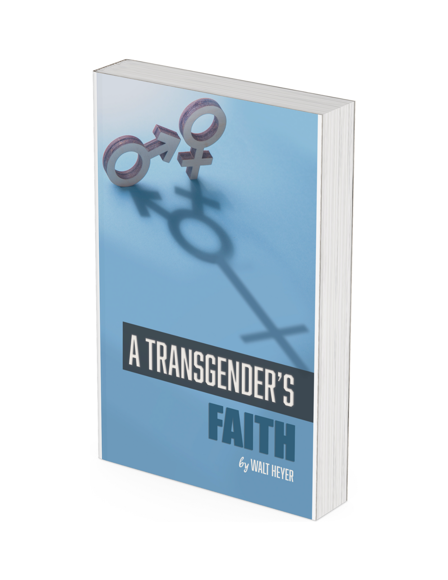 Transgender's Faith, A